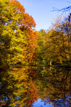 Wonderful Landscape. Colorful Autumn scene