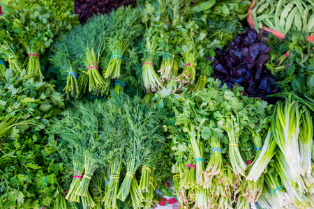 Background of  fresh green different vegetables