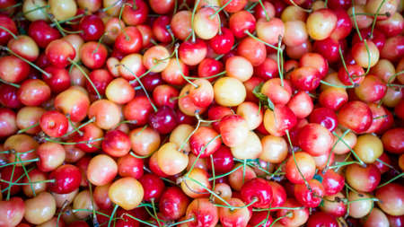 fresh red cherries. Ripe cherries backgroundの写真素材