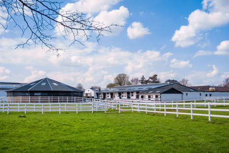 Green pastures of horse farms. Country summer landscapeの写真素材