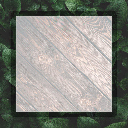 Tropical green leaves  with  frame