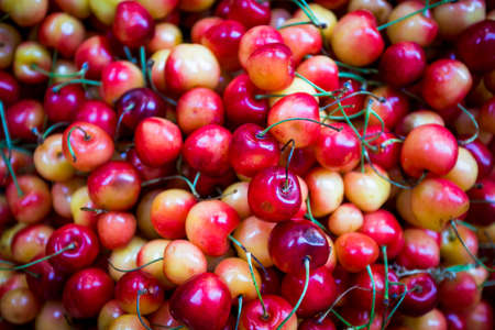 Ripe cherriesの写真素材