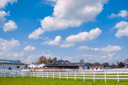 Green pastures of horse farms. Country summer landscapeの写真素材