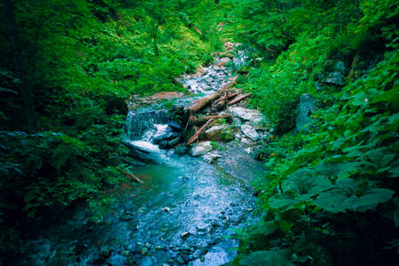 Park of waterfalls Mendeliha. Forest river and waterfall. Sochi. Rosa Khutorの写真素材