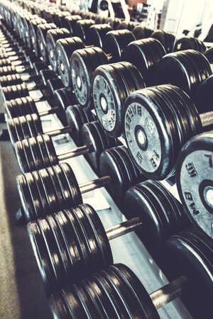 Rows of dumbbells in the gymの写真素材
