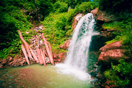 Park of waterfalls Mendeliha. Forest river and waterfall. Sochi. Rosa Khutor