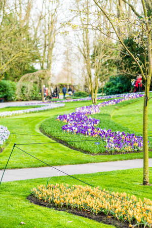 Keukenhof park in Netherlandsの写真素材