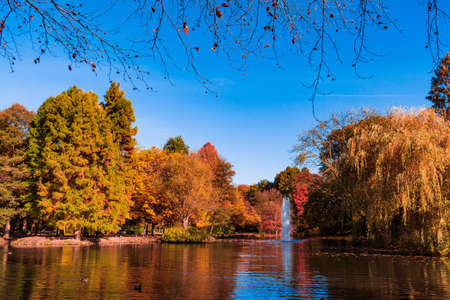 colorful autumn  reflecting in the waterの写真素材