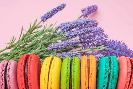 french macaron cakes composition with lavender flowersの写真素材