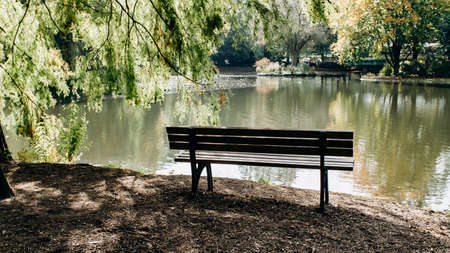 Empty bench on the shore of lake framed by trees with beautiful view of the lake's coastの写真素材