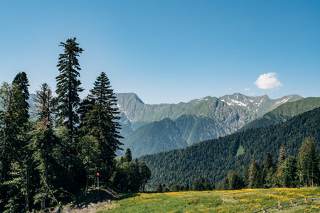 Beautiful mountain view on a Sunny day