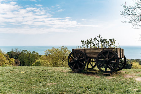 Decorative old cart with flowers. Cart with flowers and sea views.