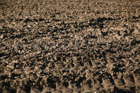 Ploughed field. Background from a plowed fieldの写真素材