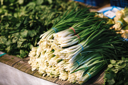 Fresh green onions on the market. The stems of onions on sale.