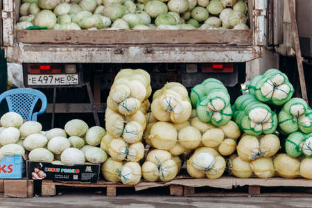 Fresh white cabbage in nets on sale. Cabbage at the fair in nets. Sale of cabbage near the car.の写真素材