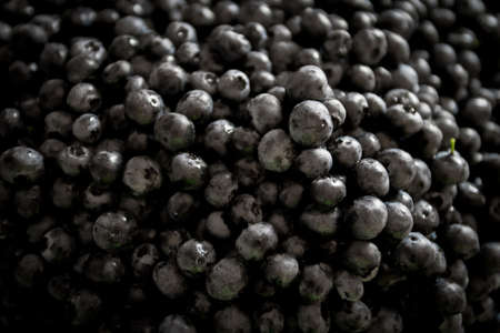 Fresh raw blueberries as background, top viewの写真素材