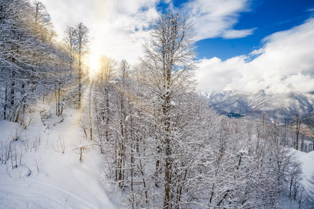 beautiful snowy winter landscape panorama with forest and sun. winter sunset