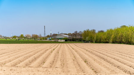 View of the plowed fields in the spring for growing