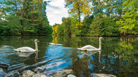 Lake with reflection, Pond in the public parkの写真素材