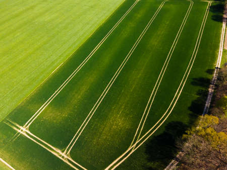 Aerial view of agricultural fields. Fields from aboveの写真素材