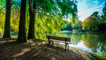 Wooden bench in the city parkの写真素材