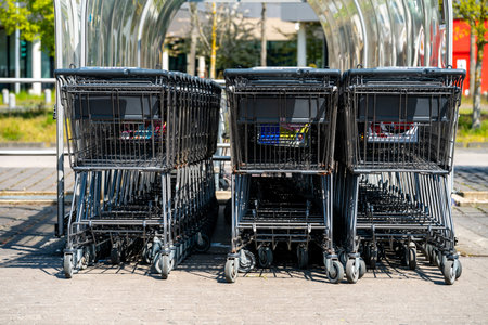 Supermarket shopping carts In The Store