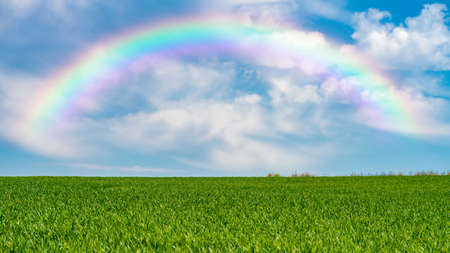 A green landscape with a rainbow in the skyの写真素材