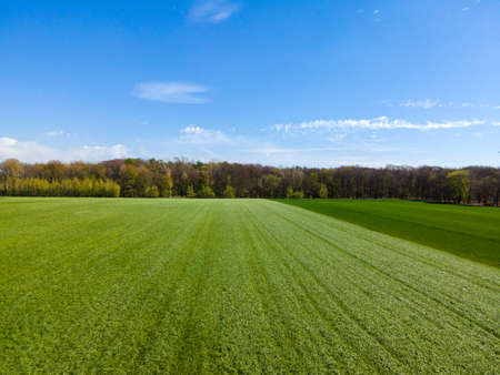 Aerial view of agricultural fields. Fields from aboveの写真素材