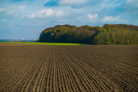 Agriculture concept. Landscape with agricultural land.の写真素材