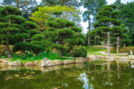 Idyllic landscape of Japanese garden. Traditional japanese stone gardenの写真素材