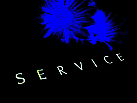 service       