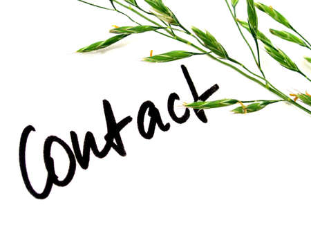 contactの写真素材