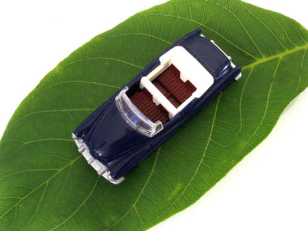 trip      の写真素材