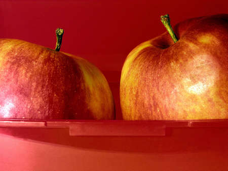 apples     の写真素材