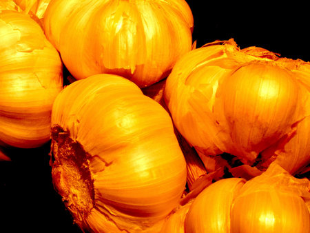 garlic