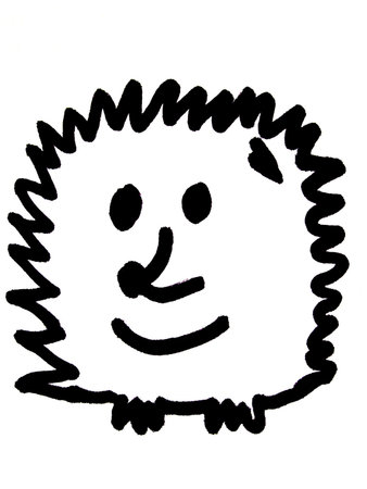 hedgehog  の写真素材