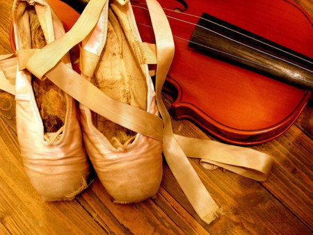 violin      の写真素材