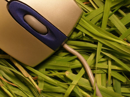 mouse      の写真素材