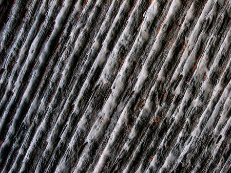 lines