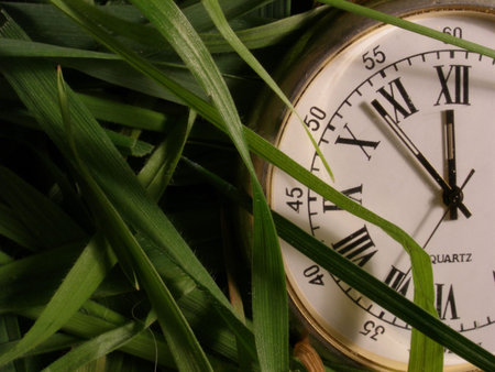 green timeの写真素材