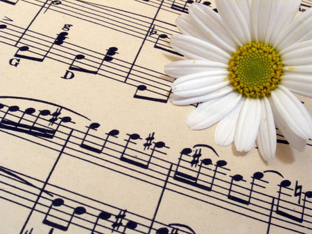 music         の写真素材