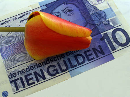 gulden     の写真素材
