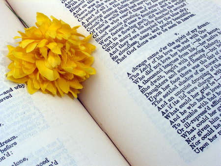 poetryの写真素材