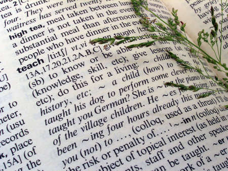 teachの写真素材