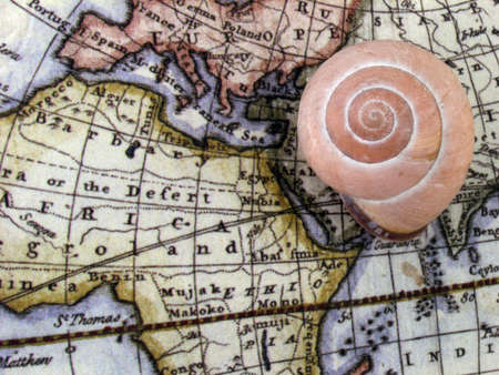 worldの写真素材