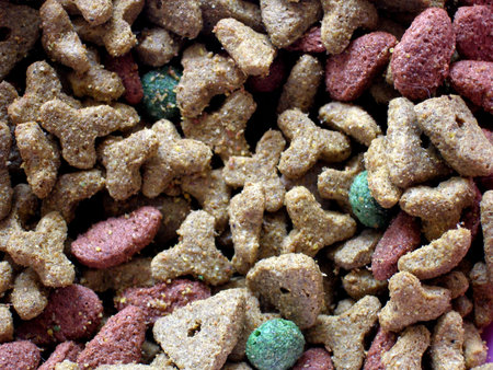 pet foodの写真素材