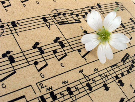 musicの写真素材