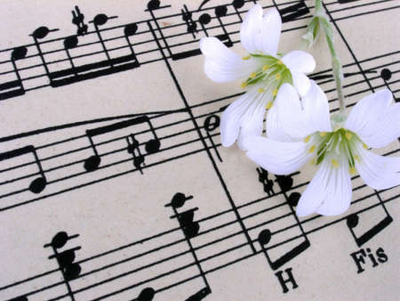 music   の写真素材