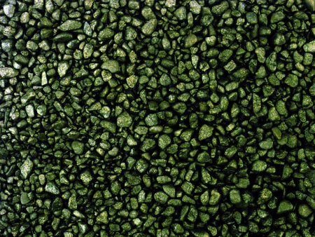 green     の写真素材