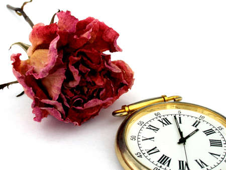 flower and watchの写真素材